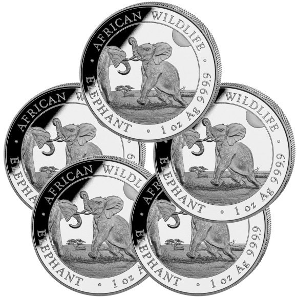 楽天市場】即納・追跡可 2024 1オンス ソマリア エレファント 銀貨
