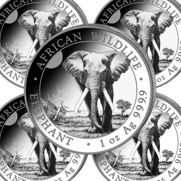 楽天市場】即納・追跡可 2025 1オンス ソマリア エレファント 銀貨