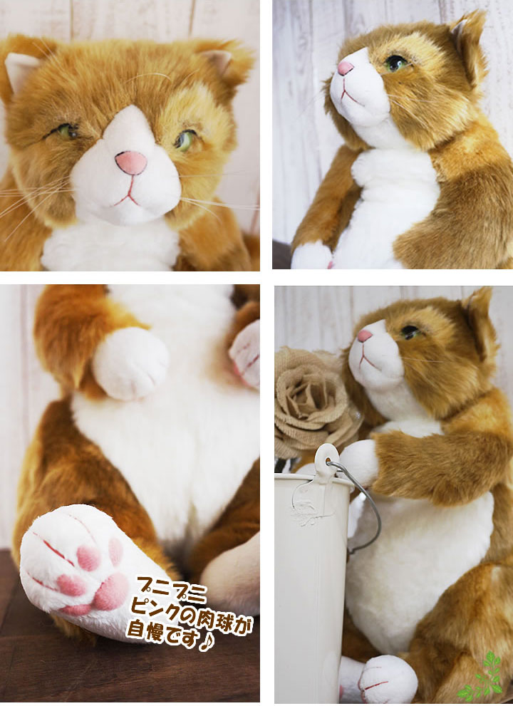 楽天市場】猫 ねこ ぬいぐるみ わさ美 カドリー Cuddly 癒し 猫の