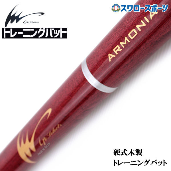 楽天市場】＼15日5%OFFクーポン配布／ 野球 アイピーセレクト 練習用