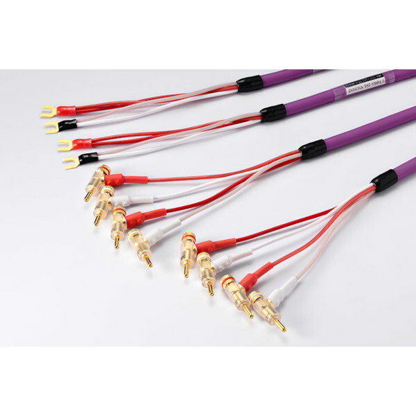 スピーカー バイワイヤリング」の人気商品一覧 | 安い商品を通販サイト