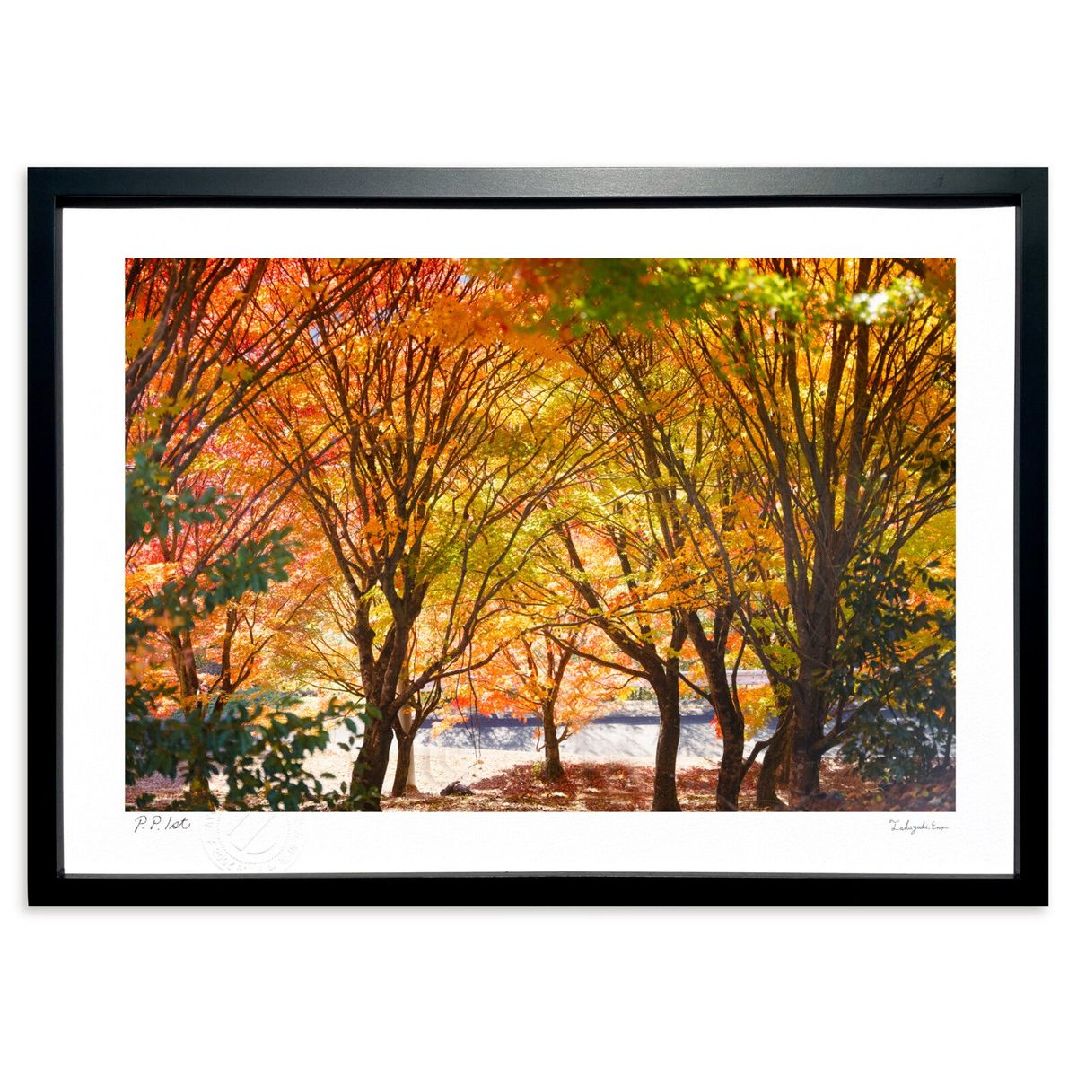 紅葉 絵画 風景画」の人気商品一覧 | 安い商品を通販サイトから探す