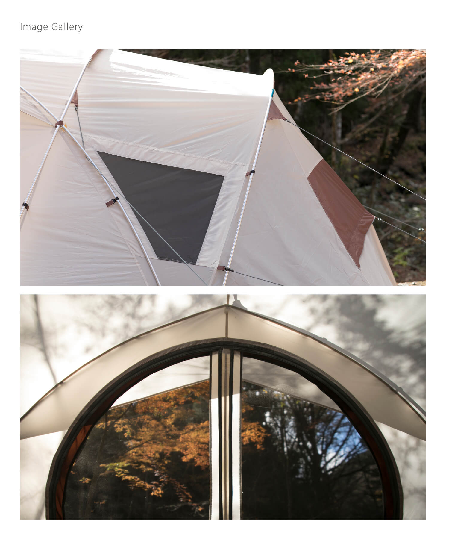 楽天市場】【S'more / Maroom 】 テント ポリエステル スモア maroom