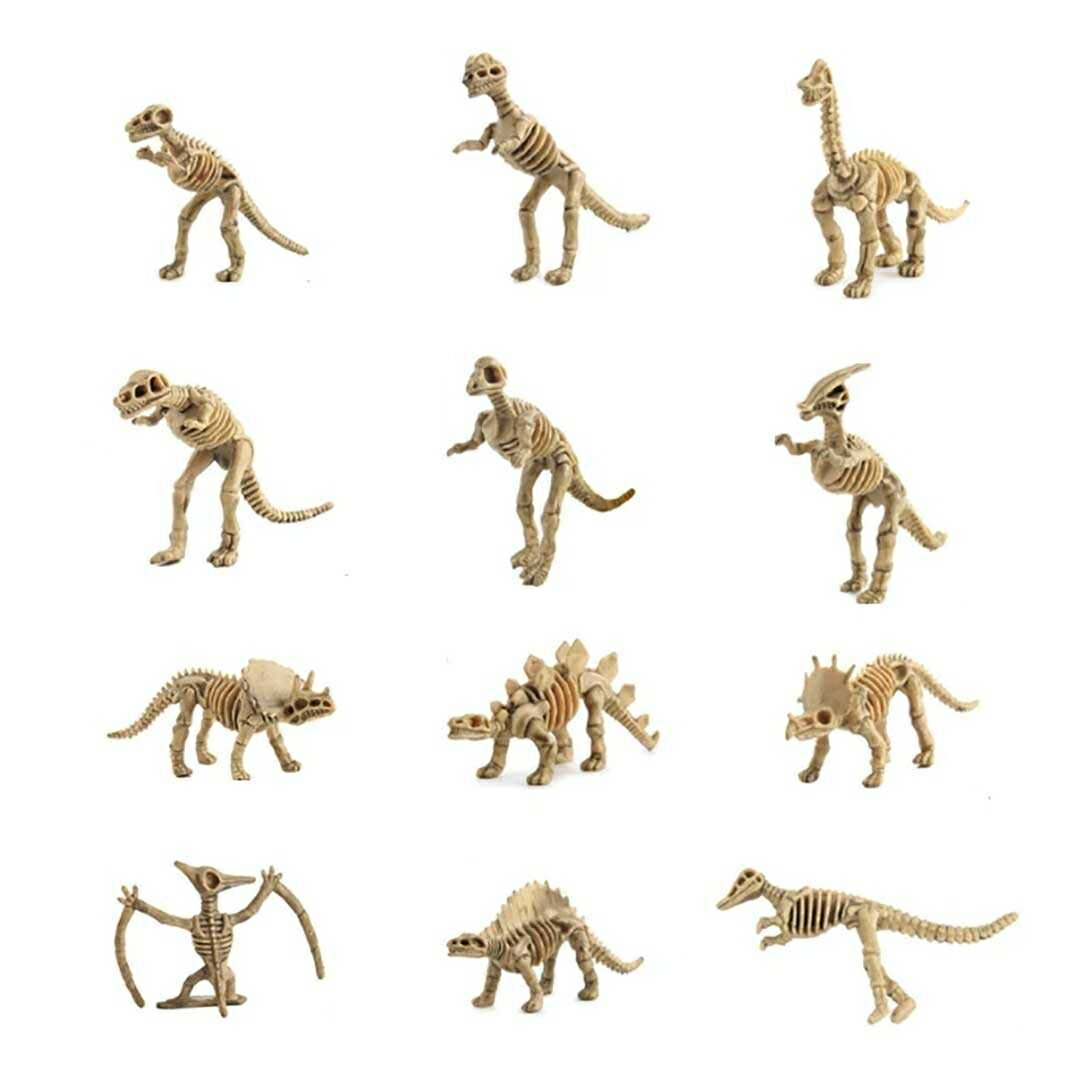 楽天市場】【楽天1位6冠達成】【置き配配送】 玩具 恐竜 骨 フィギュア