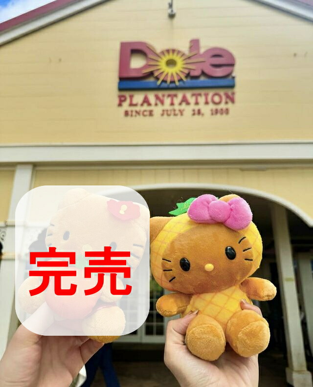 楽天市場】2月28日（土）☆発送可能☆希少限定商品【早いもの勝ち