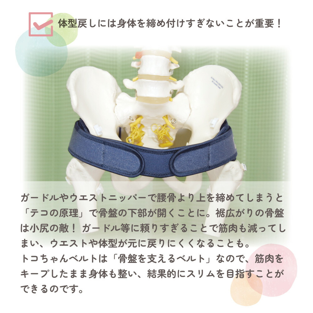 楽天市場】【クーポン有☆正規品】☆おまけ無し☆ トコちゃんベルト 2