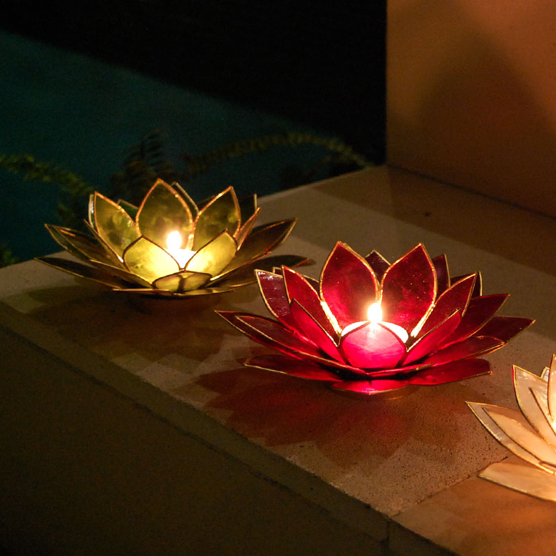 楽天市場】カピスシェルでできた蓮の花のようなキャンドルホルダーM