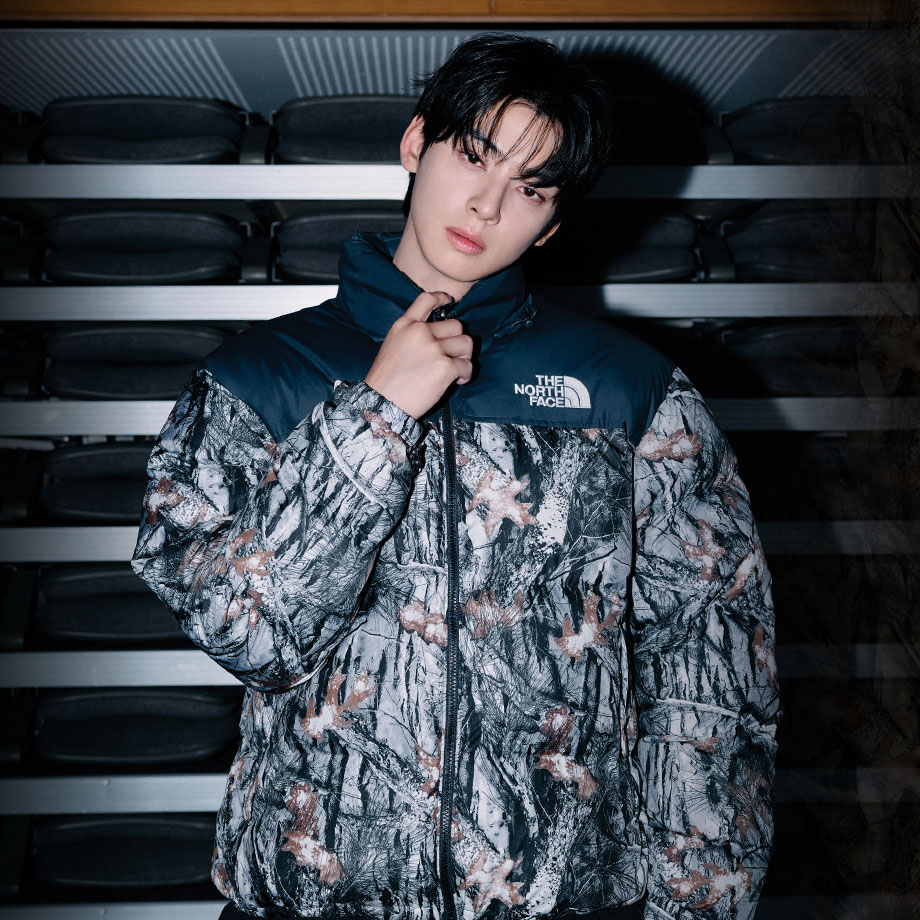 楽天市場】☆送料無料☆[THE NORTH FACE] チャウヌ 着用 NJ1DQ56 M'S