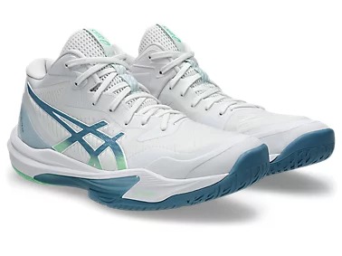 SKY ELITE FF MT 3」の人気商品一覧 | 安い商品を通販サイトから探す