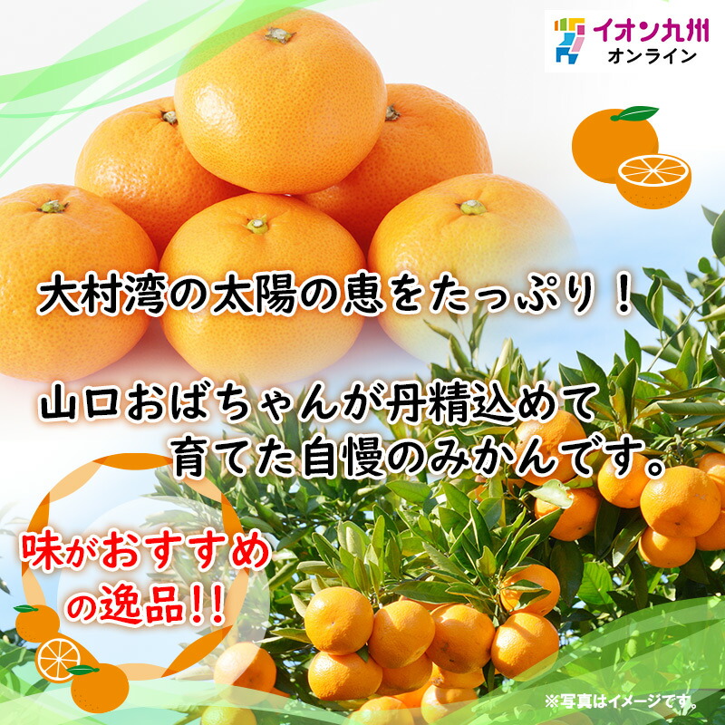楽天市場】山口さんの佐瀬みかん（あけぼの） 5kg みかん ミカン 蜜柑
