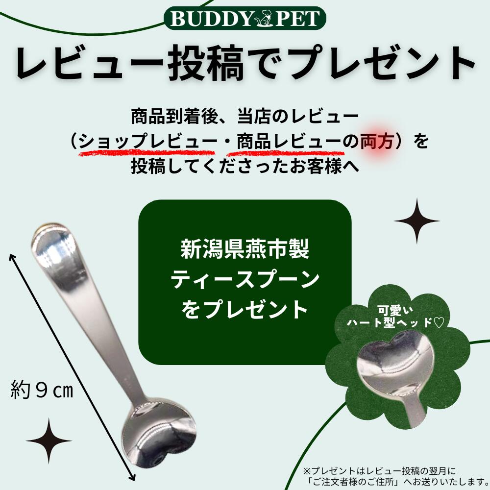 楽天市場】【正規販売代理店】BLANCHE ブランシュ テラケアブラシ