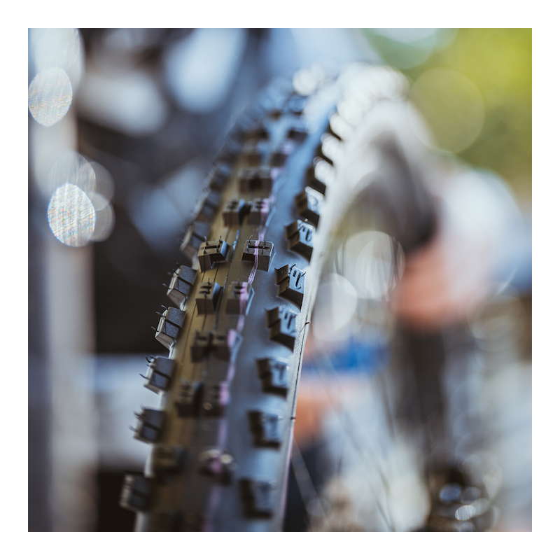 楽天市場】SCHWALBE シュワルベ タッキーチェン 27.5x2.40(62-584