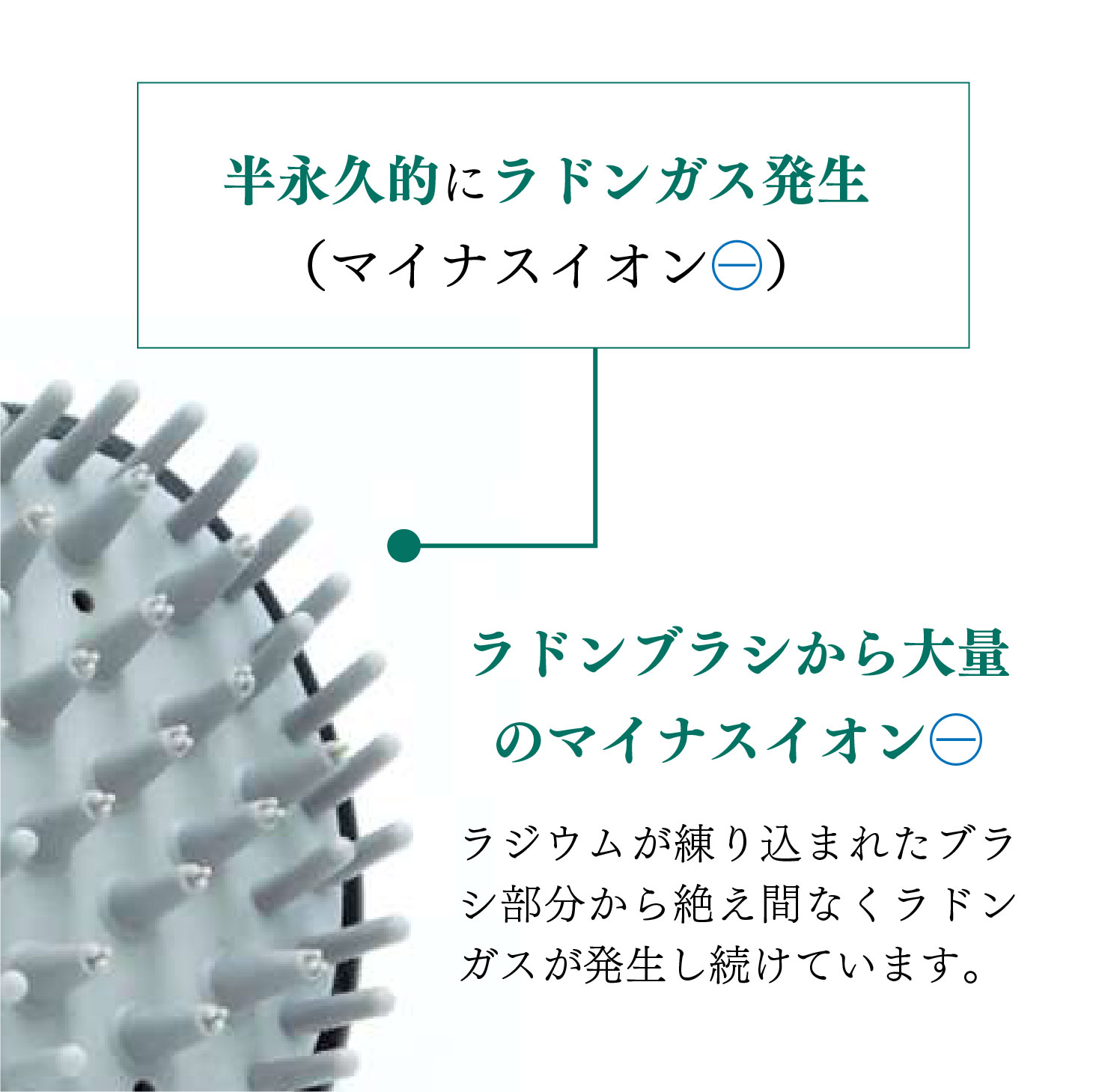 楽天市場】【クーポンで1000円OFF！2/23 23:59まで】ラドンブラシ
