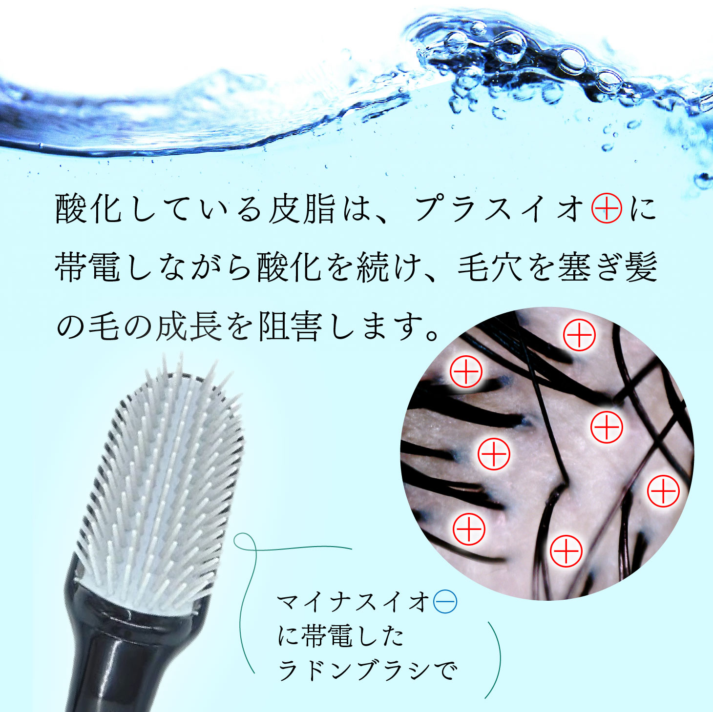 楽天市場】【クーポンで1000円OFF！2/23 23:59まで】ラドンブラシ