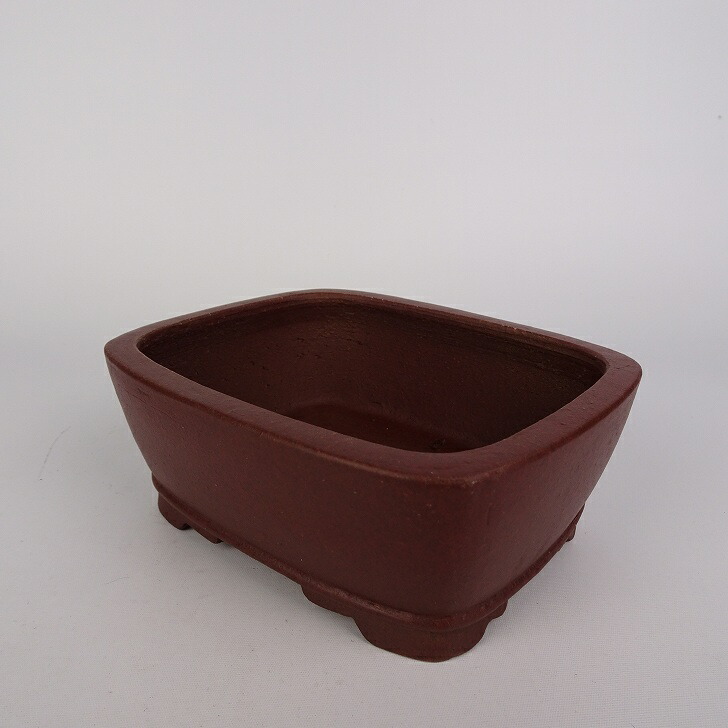 楽天市場】盆栽鉢 常滑 柴勝 小型 長辺 約12.5cm 長方鉢 外縁 段足 泥