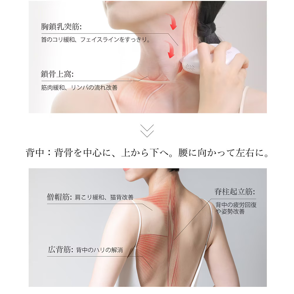 楽天市場】【クーポン利用で10%OFF】温冷リフトかっさ リフトケア かっ