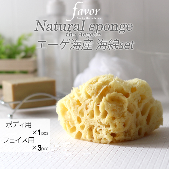 楽天市場】お買物マラソン/ 《 エーゲ海産 海綿 セット 》 ハニコム種