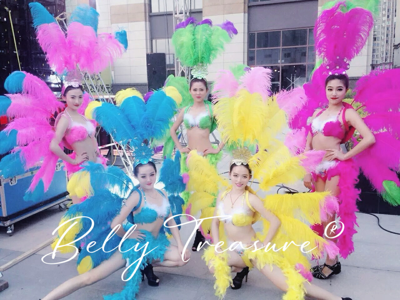 楽天市場】サンバ 衣装 5colorWM-003-202507ステージ衣装 背中の羽根