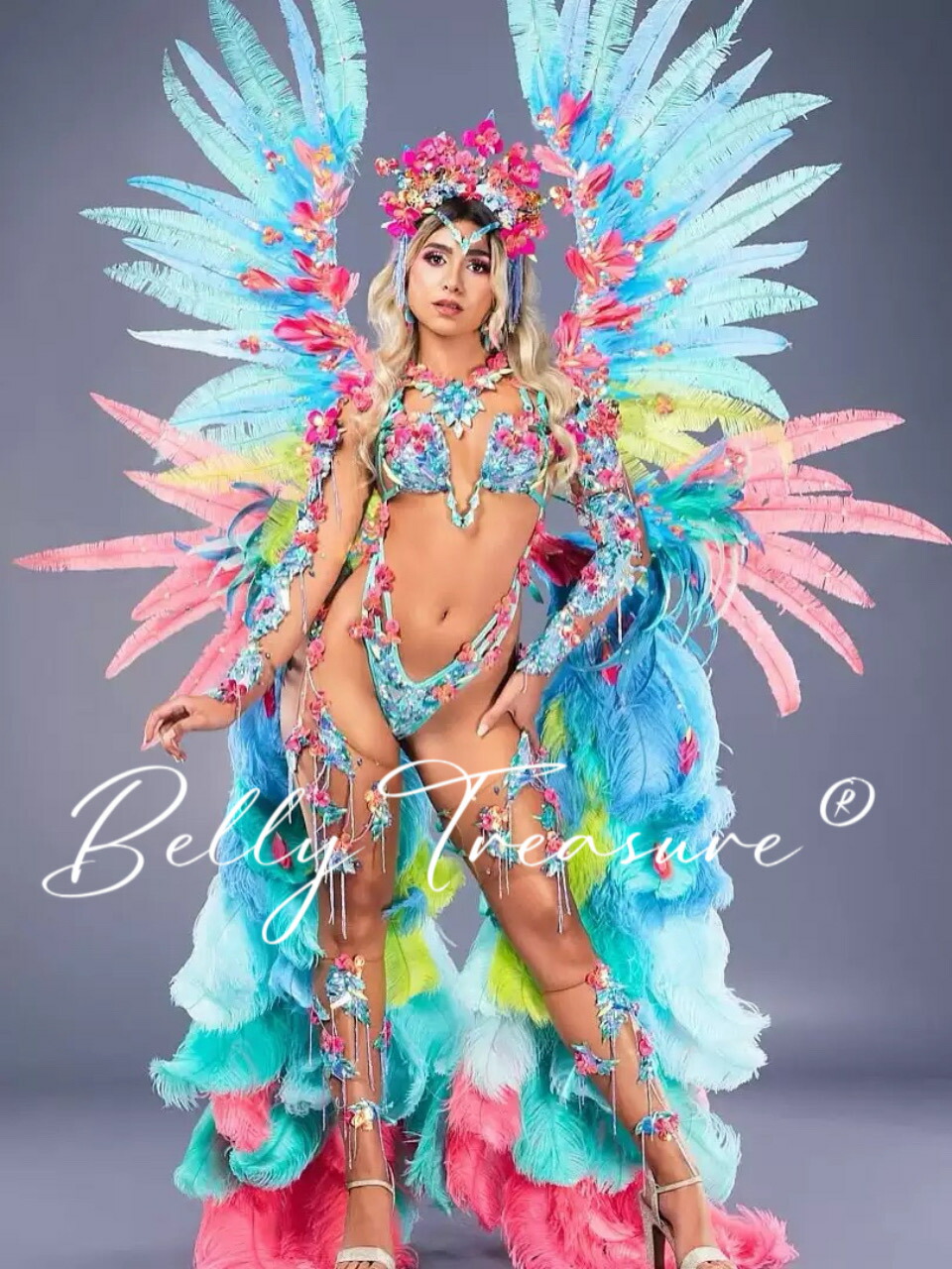 楽天市場】サンバ 衣装 背負い羽 ステージ衣装 背中の羽根 サンバ衣装