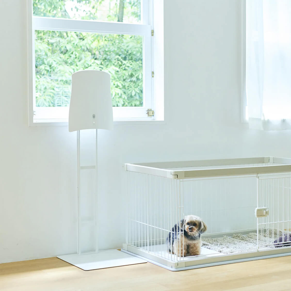 楽天市場】サンスター QAIS-air- 04A1J クワイスエアー 専用スタンド