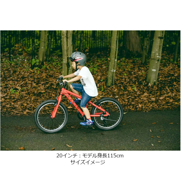 楽天市場】1日最大1800円OFFクーポンあり【2/2〜3/11限定 全品P3倍