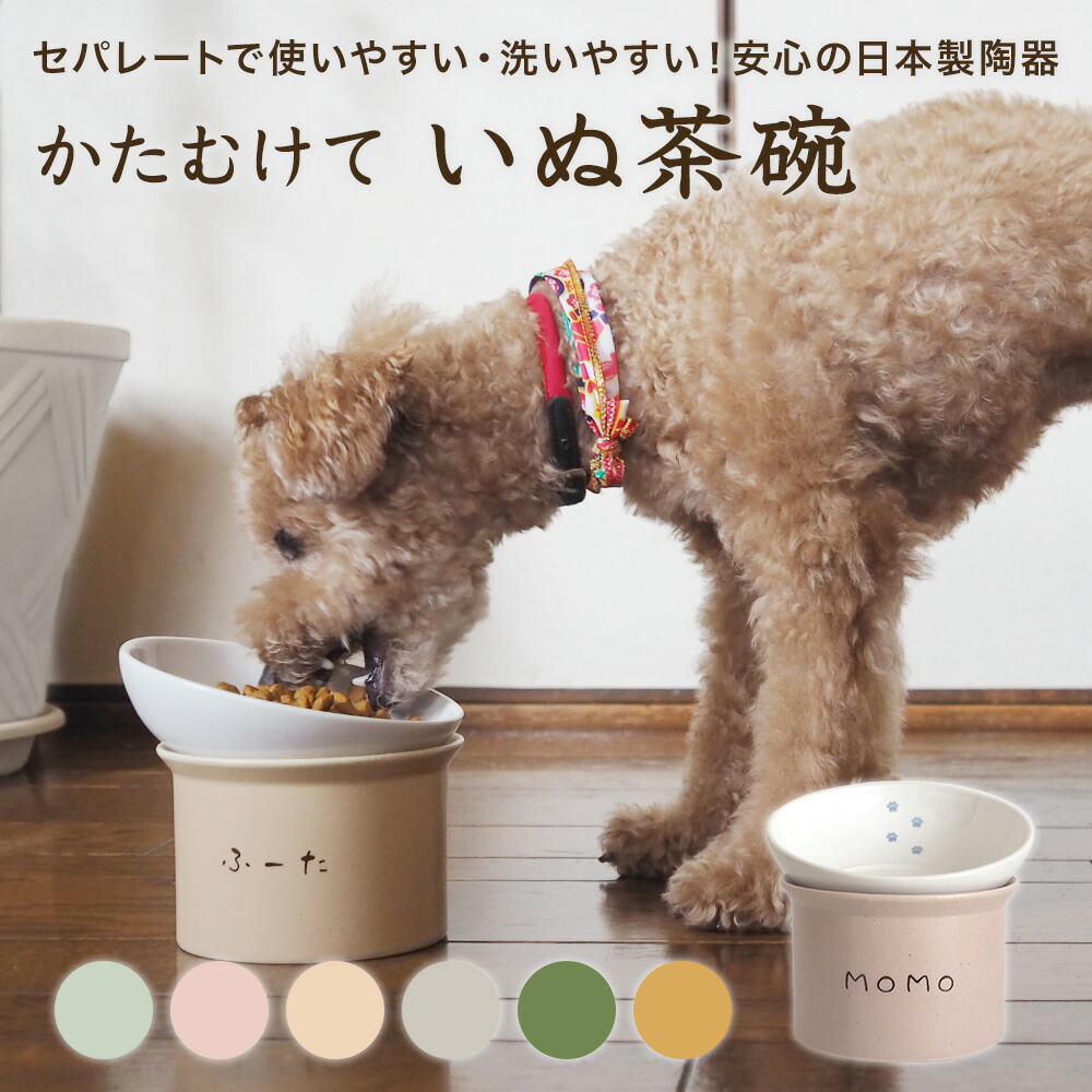 dog_cago_02.jpg?fitin=720:720