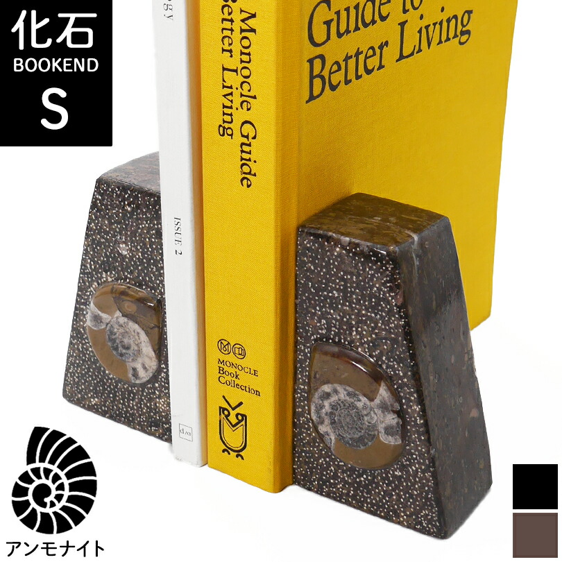 楽天市場】Sサイズ アンモナイト【化石ブックエンド】大理石 ブック