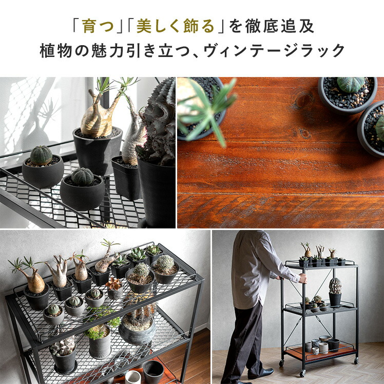 楽天市場】棚 ラック スチールラック オープンラック シェルフ 収納棚