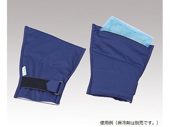 楽天市場】フローズン グローブ 医療 用の通販