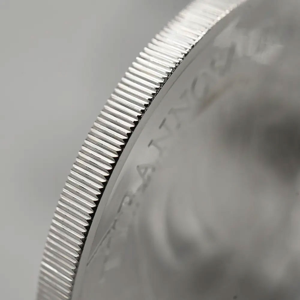 楽天市場】☆即納追跡可☆ 2024 チャールズ3世 恐竜標本コレクション第