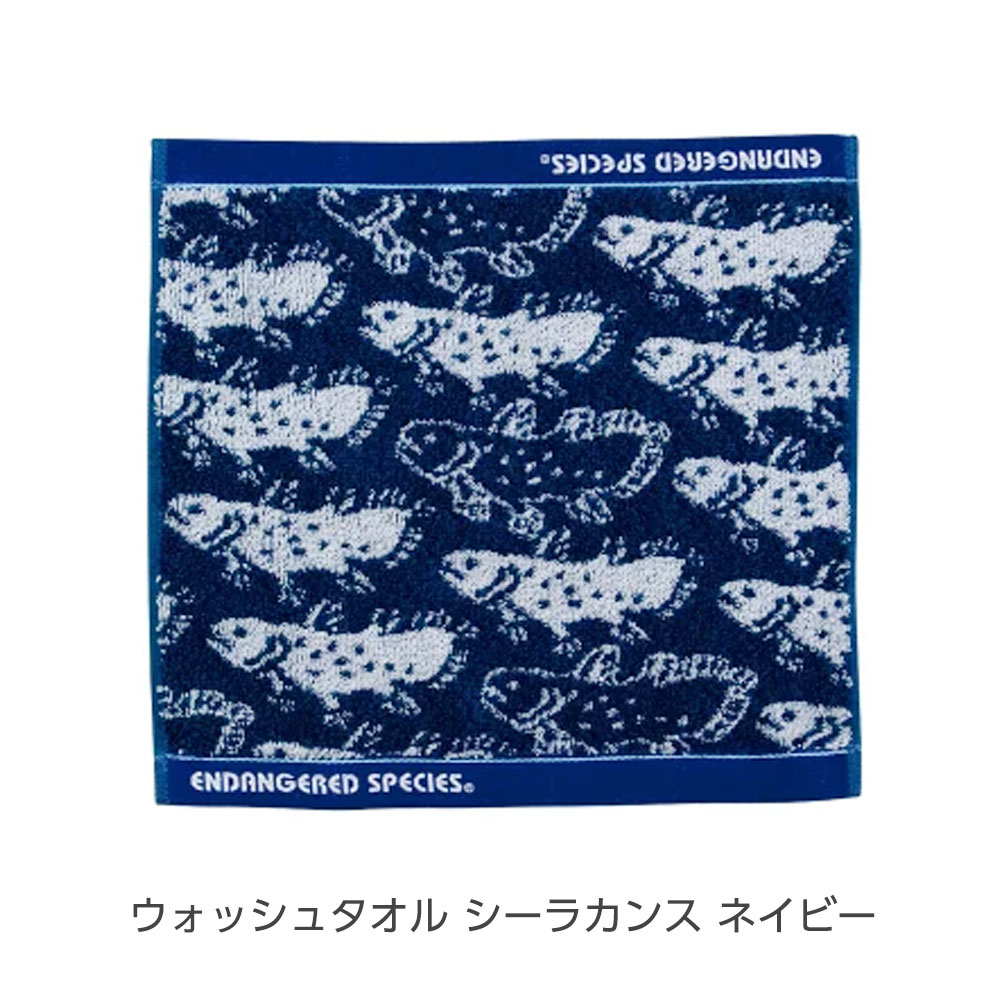 楽天市場】【今治 タオル 生物柄4種類 サイズ3種類】生物 生活雑貨