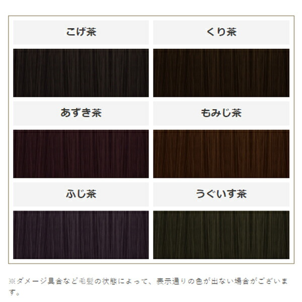 楽天市場】香草カラー色葉 ふじ茶 300g : COLOR STORY