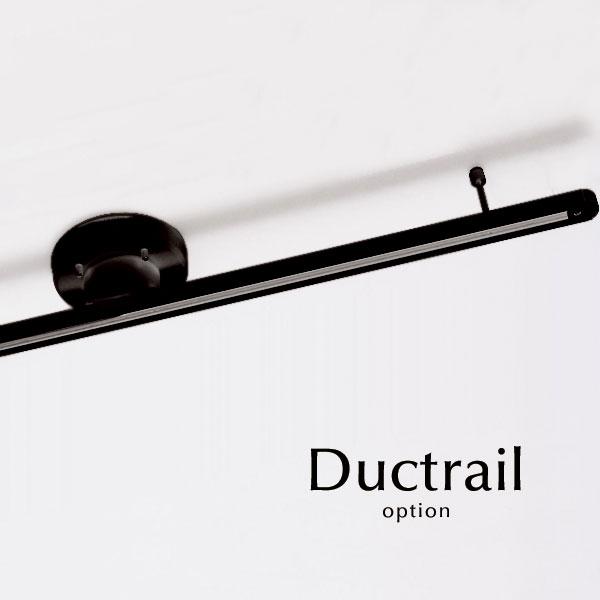 楽天市場】【 ダクトレール / ブラック 】 簡易式 軽量用 ライティング