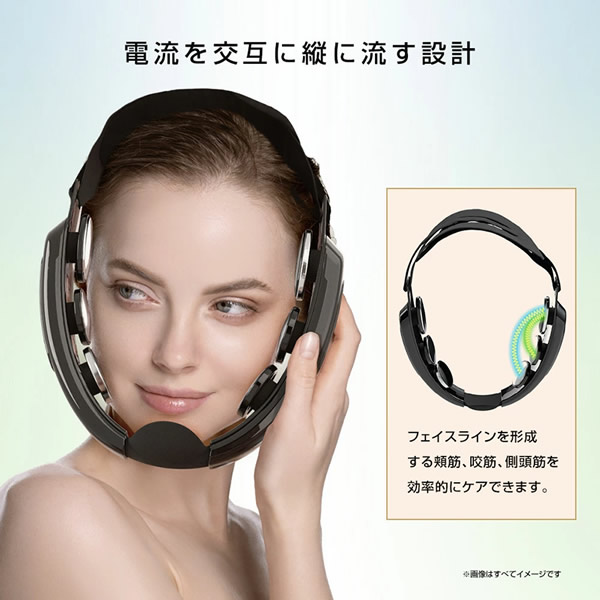 楽天市場】【正規販売店】【選べるおまけ付き】ゾーガンキン マチュア