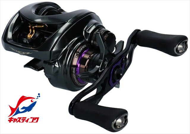 ダイワ スティーズ CT SV TW 700XHL (リール) 価格比較 - 価格.com