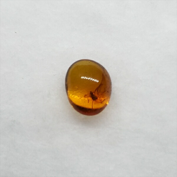 楽天市場】【送料無料】【琥珀/虫入り/anber化石】 美品 虫入り琥珀