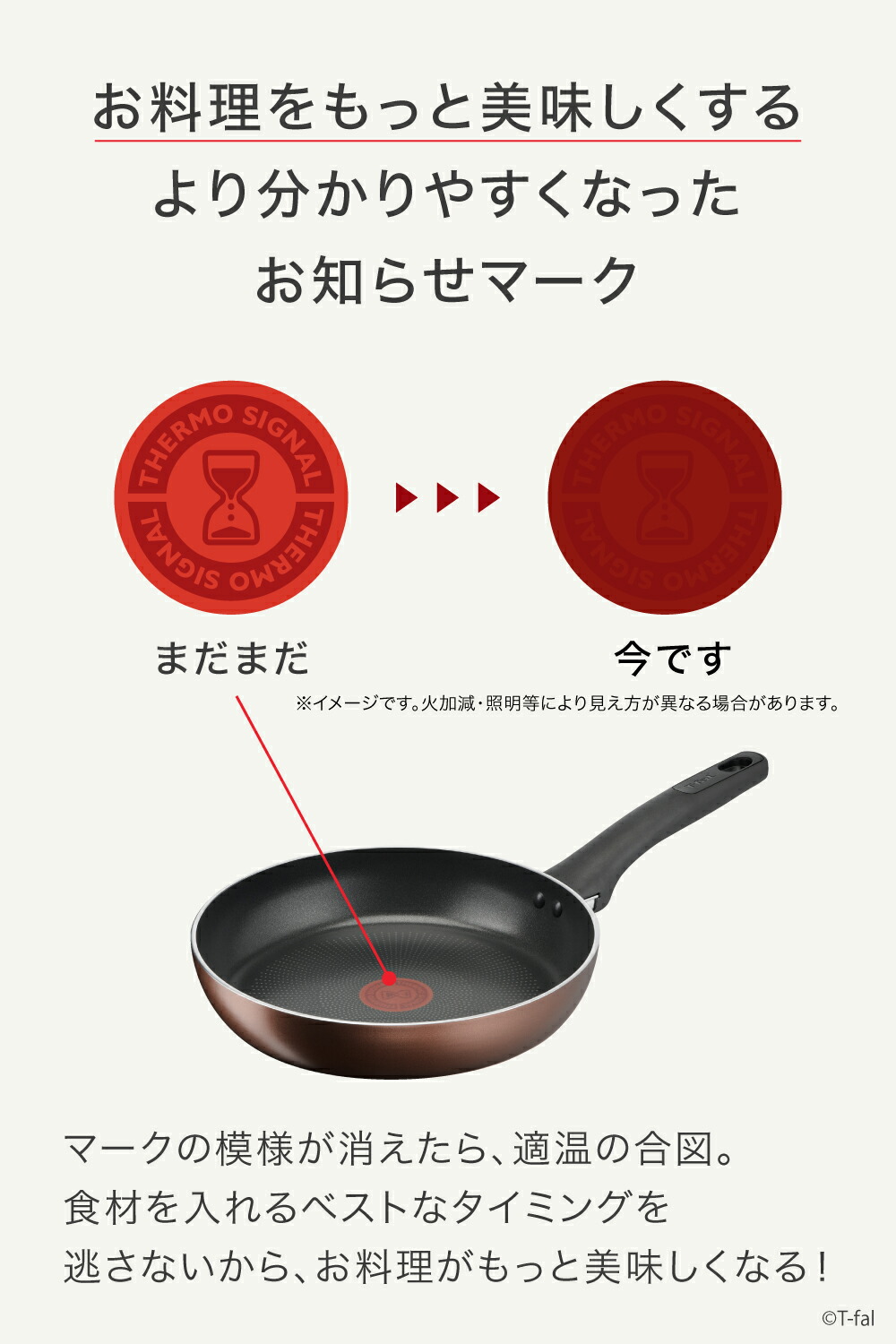 楽天市場】ティファール T-fal IH対応 ガス ガス火 直火 兼用 IHチタン