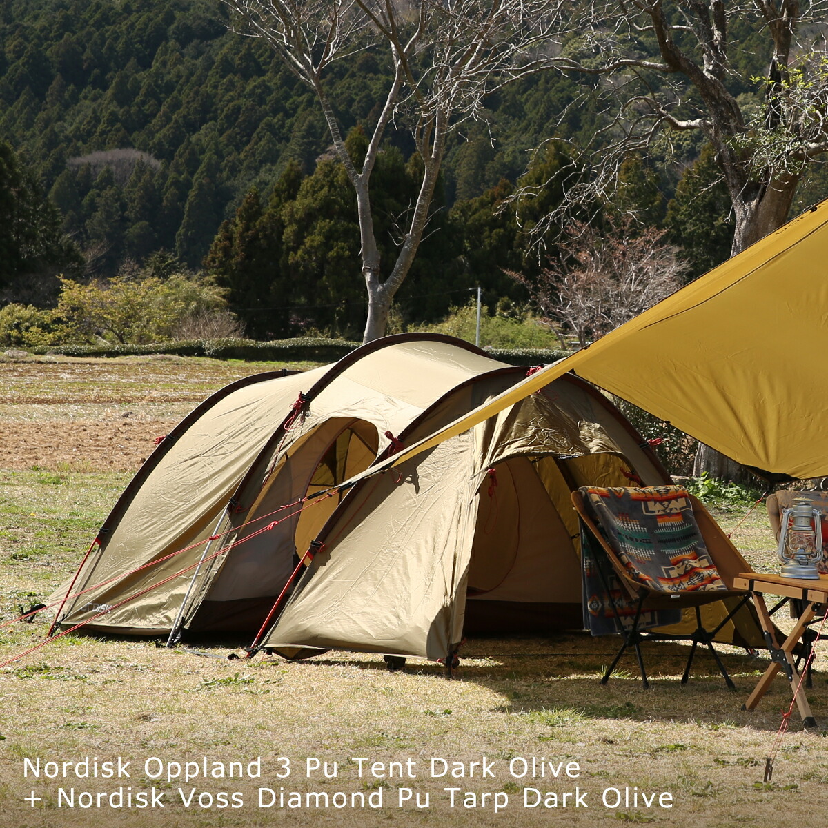 楽天市場】ノルディスク Nordisk オップランド 3人用 ドーム テント