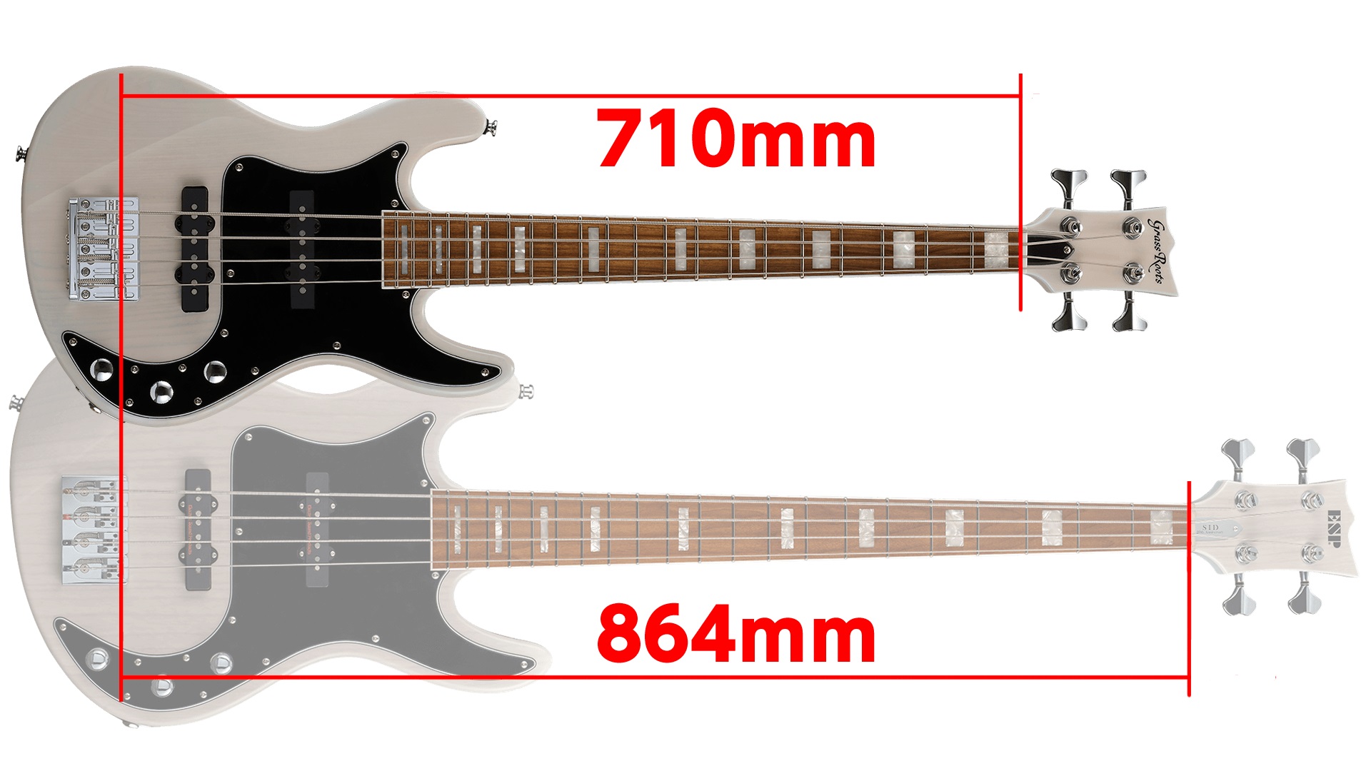 楽天市場】【ESP直営店】【ご予約商品】GrassRoots G-AK MINI [シド