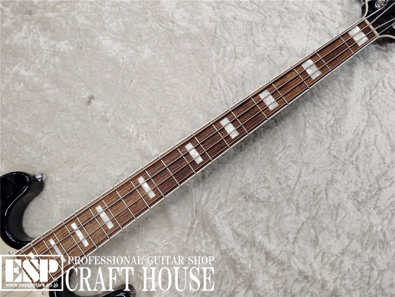 楽天市場】【ESP直営店】【即納可能】ESP 凛〜Lynn〜 SID 15th