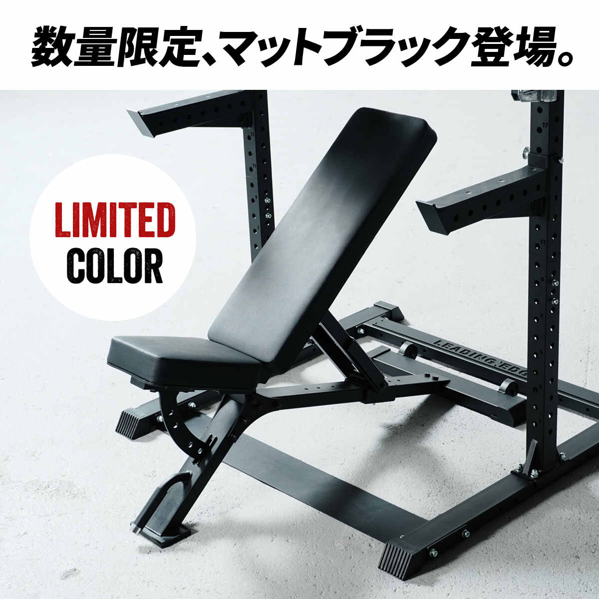 楽天市場】トレーニングベンチ 耐荷重300kg 高重量 角度調整 簡単移動