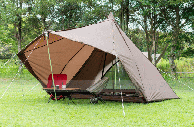 楽天市場】【最大10,000円OFF＋全品P2倍！19日20時から】タッソ専用