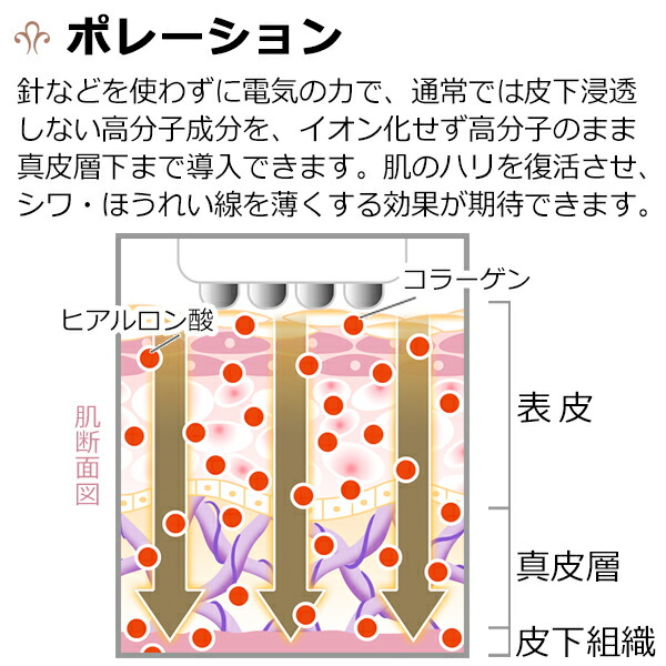 楽天市場】ほうれい線 ケア ! エステ専売 ポレーション 美顔器 EIP