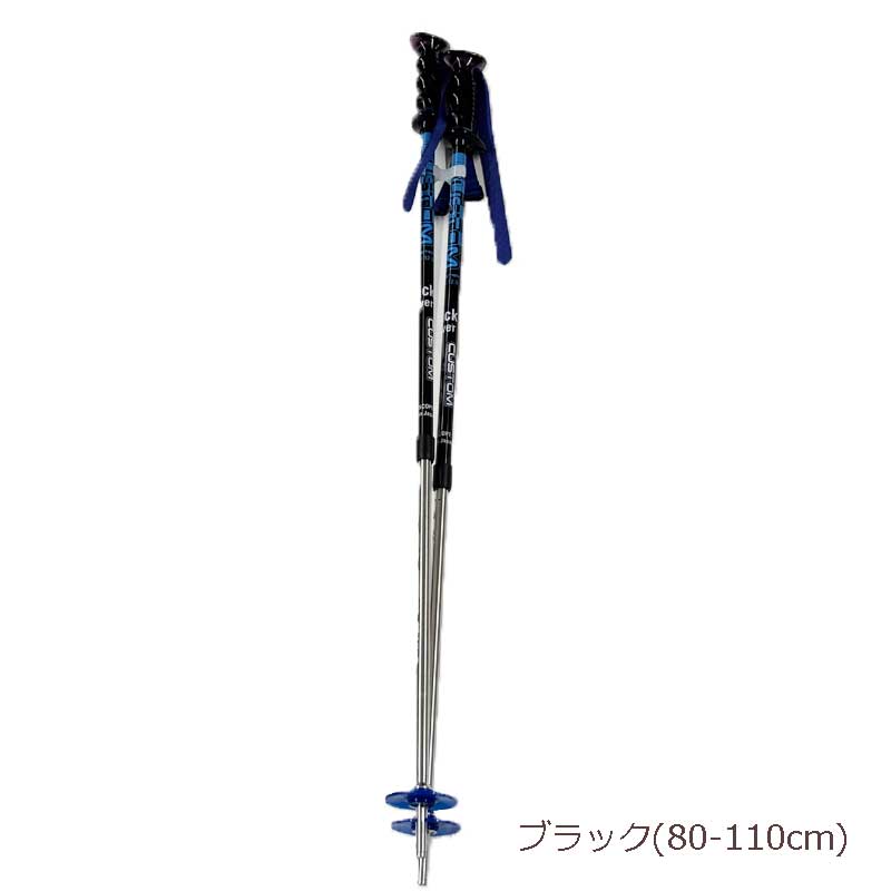 楽天市場】ナイト工芸 スキーポール ジュニア 伸縮ポール スキー