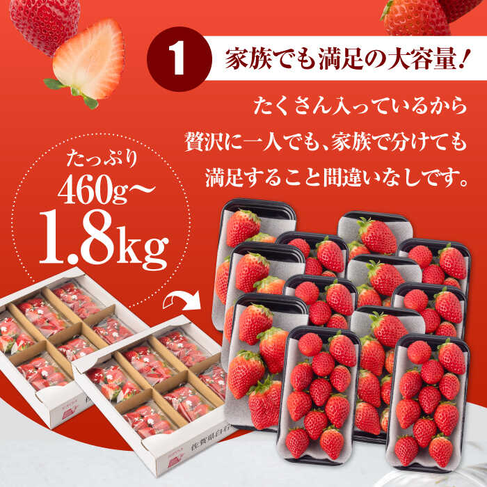 楽天市場】【ふるさと納税】【2026年1月以降発送】いちごさん〈選べる