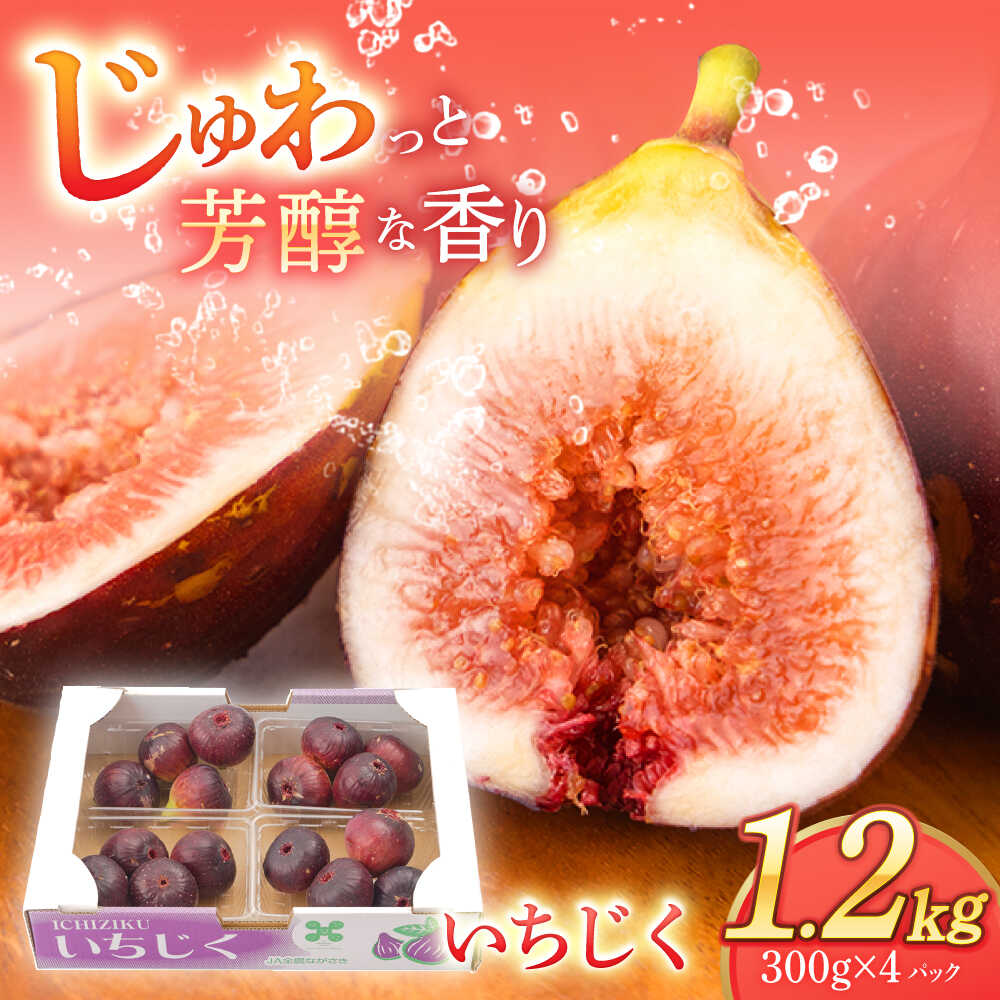 楽天市場】【ふるさと納税】朝獲れ ほぼ完熟いちじく 約1.2kg（300g×4