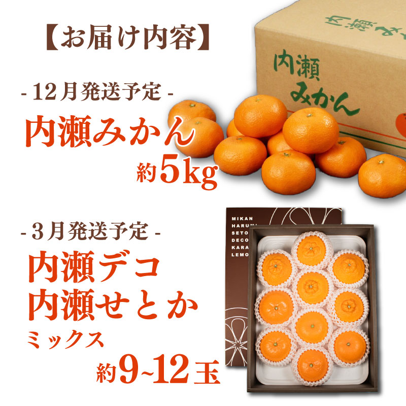 楽天市場】【ふるさと納税】 先行予約 柑橘 定期便 2回 温州みかん せ