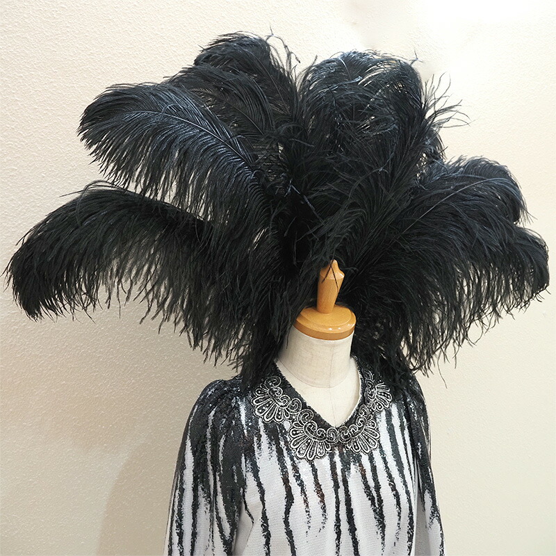 楽天市場】オーストリッチ60cm羽根(全2色)≪1本単位販売≫ : 日暮里の