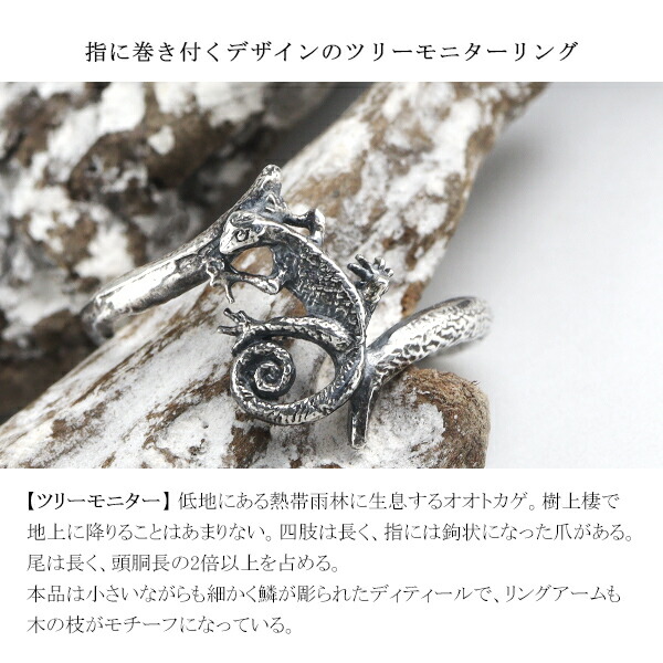 楽天市場】Cold I's ツリーモニター リング 7〜15号 シルバー925 指輪