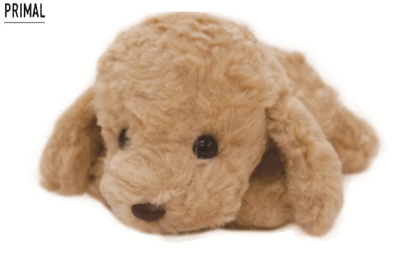 楽天市場】ぬいぐるみ トイプードルパプス 犬 ドック アニマル 動物